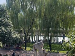 -小白鲨工夫潮膳(曲江店)