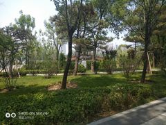 -迎泽公园