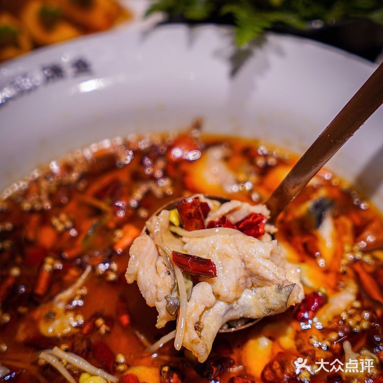 翠蝶轩|魔都新派川菜，绝对满足无辣不欢的你！