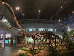 -自贡恐龙博物馆