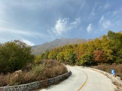 -白草畔自然风景区