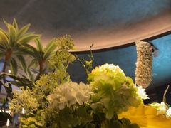 -唐宫足道·SPA·住宿24H会所(木渎店)