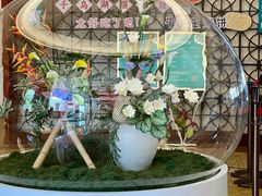 -杭州千岛湖开元度假村