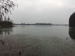 -东湖落雁景区