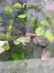 -Moni星球萌宠·小马宝莉·灵蛇·高端高阶全萌宠互动体验俱乐部(红豆国际广场店)