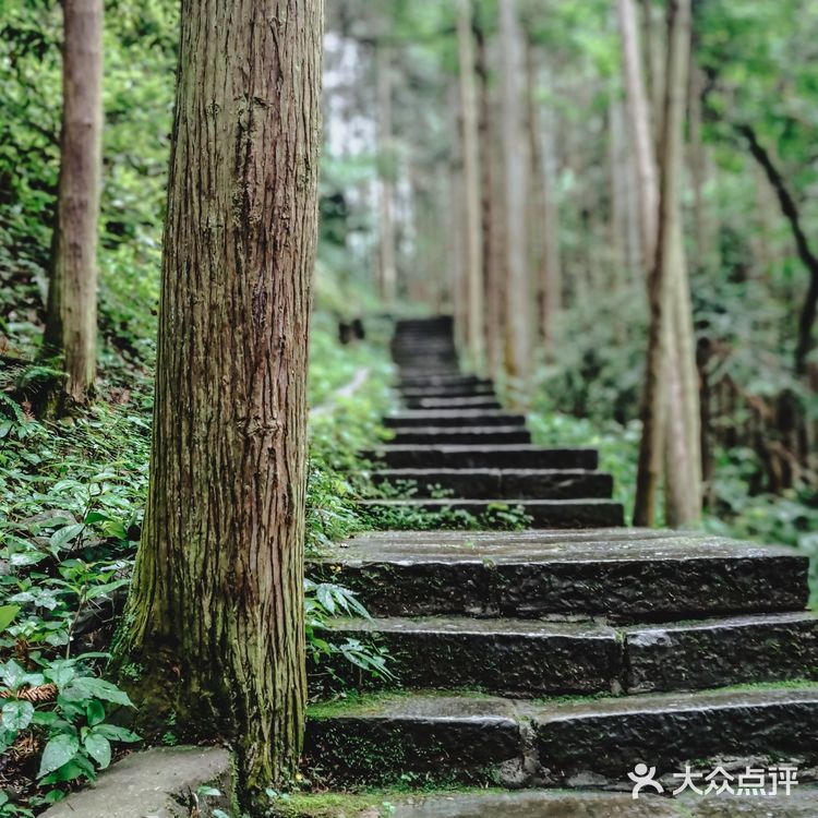 张家界国家森林公园·零基础上手轻松玩转😁