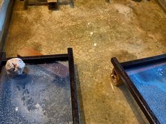 -大象粑粑造纸公园