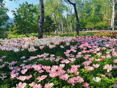 -国家植物园南园