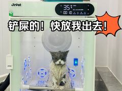 -爱洗澡的猫(望京店)