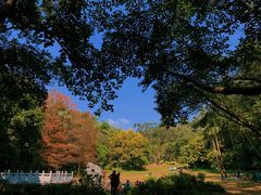 -梧桐山风景名胜区