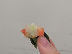 -菜园坝水果市场