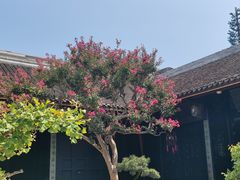 -安仁古镇