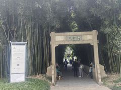 -采石矶景区