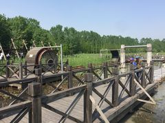 -溱湖国家湿地公园