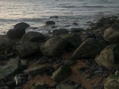-白沙门生态公园