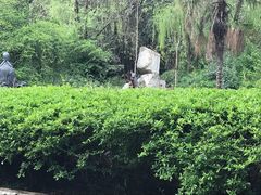-桂湖森林公园