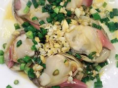 北极贝-金海湾海鲜排档(朱家尖店)