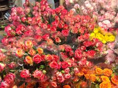 -循礼门鲜花花市(武汉循礼门店)