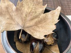 -慈云斋·24节气素食