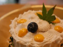 -野草莓自由市场