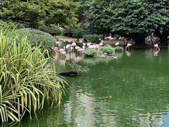 -九龙公园