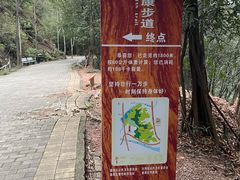 -滴水岩森林公园