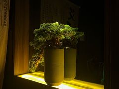 -江南足纪·影院足道·轻奢SPA(笋岗HALO广场店)