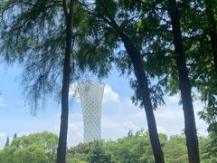-上海滨江森林公园