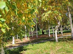 -长春公园(普阳街道)