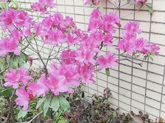 -云溪植物园