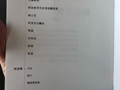 -新加坡航空公司(ION)