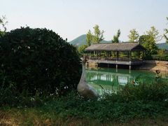 -帐篷客·溪龙茶谷度假酒店