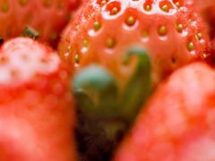 -小龙坎老火锅(鹤伴一路店)