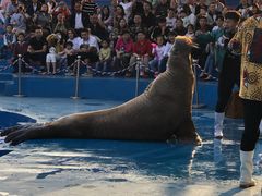 -华夏文旅西安度假区