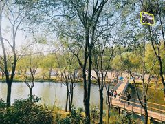 -东郊湿地公园