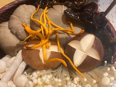 -渡娘火锅(大兴大悦春风里店)