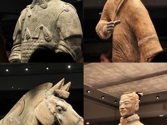 -秦始皇帝陵博物院-丽山园