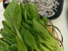 黑毛肚-潮汕良记牛肉火锅(洪武路店)