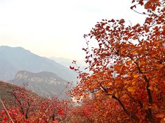 -周口店坡峰岭风景区