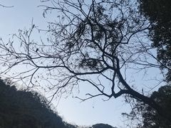 -崇州九龙峡漂流