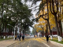 -四川大学(望江校区)