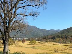 -塔川景区