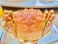 -蟹天蟹地农家菜·阳澄湖大闸蟹(浅水湾店)