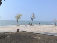 -东方绿舟景区