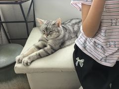 -小时光咖啡馆(北锣鼓巷店)