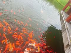 -拜将坛