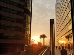 -香港皇家太平洋酒店