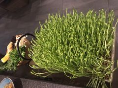 鲜活豌豆苗-湊湊火锅·茶憩(打浦桥日月光店)