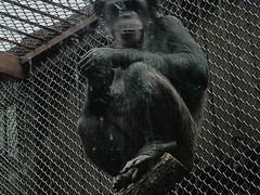 -沈阳森林动物园