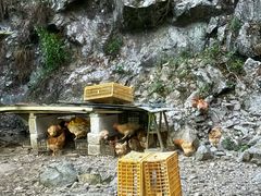 -途中饭店(开化店)